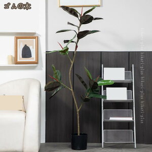 tFCNO[  lHϗtA tFCNA  A ItBX rO Q  L ȒP zj CeA A j 傫 {  