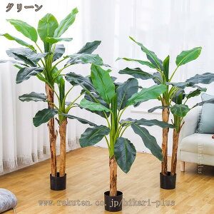 ԃO[ Ηt 傫TCY tFCNO[ Ύ A lHϗtA ^ CeAO[ lHt { ϗtA ͂Ȃ bsv /O  