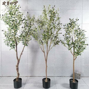 ϗtA A lHϗtA tFCNO[ ^ k CeA A tFCNc[  Vv  O q K[f ItBX AEghA  킢 fR[V