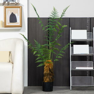 lHԃc[ rO ItBXp CeAϗtA tFCNO[ ^ tA  sv ȒP Vv  CeA lH A t j 