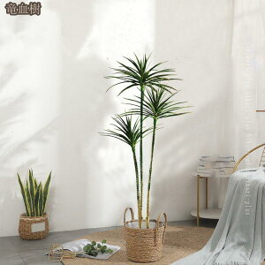 ^ tFCNO[ lHϗtA A 傫  tFCN CeA O[ A AtFCN ItBX rO  K sv Ϗܗp A  v[g