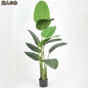 lHϗtA ^ tFCNO[ {̐lHA lH CeAO[ ϗt A bȂ ͂Ȃ   ItBX j  Iȑ Vzj r