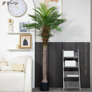 ϗtA tFCNO[  tFCN A CeA  O[ ^  O  lHϗtA ϗt zj k sv ͂Ȃ u Ԓd  rO G