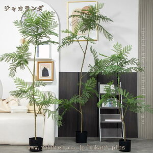 tFCNO[ ^  A lHϗtA CeA O[ i   ϗt A 썑 ^ϗtA tFCN lH 傫 傫   lHA  rO x