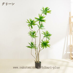 tFCNO[ hZi K̖ sv ͂Ȃ QȂ lHϗtA ϗt JXj JƏj   ^ 傳  ʏ  gC  J^ 