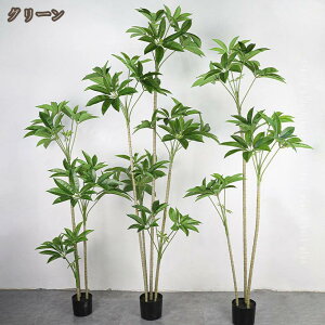 tFCNO[ xW~ _ A Vv lHϗtA ^ ͂Ȃ sv Ύ  ItBX  CeA L R h lHA sv  