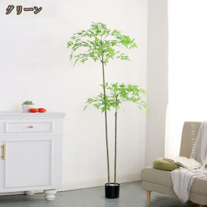 ou[  A ΍ tFCNO[ ϗt   _ CeA ^  sv ͂Ȃ Q쏜sv A ȒP lHϗtA lH ~