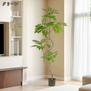 tFCNO[ K^̖ A lH ϗtA  J^ K̖ CeA ItBX   X ^ ϗt lHA lH ~  sv ͂Ȃ QȂ 