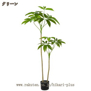 tFCNpL lHϗtA tFCNO[ sv Q̐SzȂ CeAO[   rO ItBX p ϗt   { ȒP v