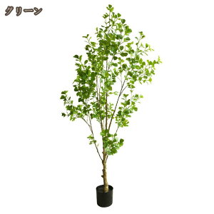 K̖ KW} tFCNO[ ^  A lHϗtA K̎ O  CeA  rO  ItBX j lHϗt tFCNA 傫 sv 