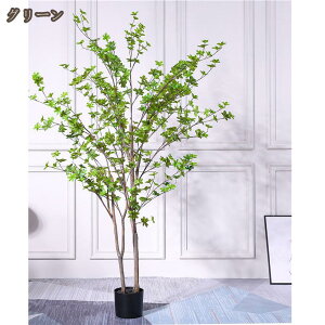 tFCNO[ ϗtA lHϗtA hE_ccW  CeA ^ A  CeA p v[g Mtg 킢 ͂Ȃ sv  _ ϗA 