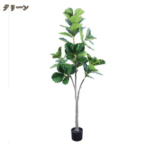 tFCNO[ V lHϗtA Ex[^ A  CeA sv ȒP Mtg Vzj ̓ ̓ a _ l炵  蕨 v[g 