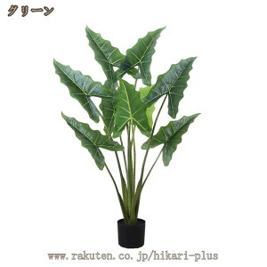 tFCNO[ CeA A NYC lHϗt lH ϗtA  ^ b炸 sv  Vv ItBX z[fR[V  Vzj 