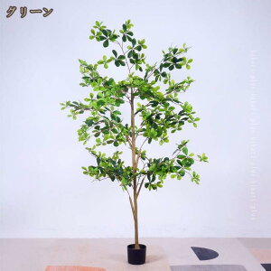 xW~ tFCNO[ ^TCY A 傫 A lHϗtA    CeA   j Mtg v[g JXj Vzj aj j {