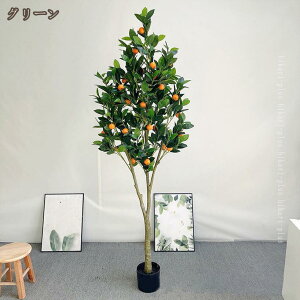 ̖ tFCN ^ 傫 tFCNO[ lHϗtA  ϗA CeA  O tFCNA lH ϗtA sv ͂Ȃ ~͐A v[gp 蕨 A