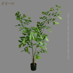 V_A tFCNO[ ϗtA ^ p  A Ύ  bsv sv Q̐SzȂ ze r[  rO CeA ϗA K̖ Ƃ̒ɒu