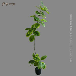 S̖ tFCNO[ ϗtA ^ p  A Ύ  bsv sv Q̐SzȂ ze r[  rO CeA ϗA K̖ Ƃ̒ɒu