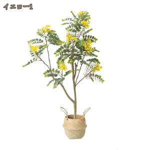  ł̉ Ŏ l炵  ₵̃tFCNO[ i` _ tFCNA    lHϗt rO  t t Vv ItBX p Op ϗtA 