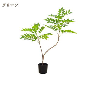 lH ϗtA tFCNO[ A`` CeA v[g 蕨 { IV lH ͂Ȃ Q쏜sv ȒP A  O  tFCN