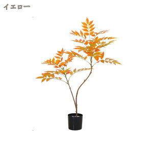 lH ϗtA tFCNO[ A`` CeA v[g 蕨 { IV lH ͂Ȃ Q쏜sv ȒP A  O  tFCN