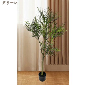 tFCNO[ lHϗtA ϗt  ou[ K̖ sv ͂Ȃ bȂ  z[  ItBX CeA  hL R lH ^ _ v[