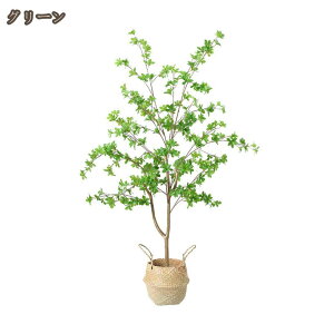 lH ϗtA tFCNO[ hE_ccW CeA v[g 蕨 { IV lH ͂Ȃ Q쏜sv ȒP A  O  tFCN