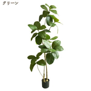 tFCNO[ ϗtA  J^ lHϗtA { ^ A  sv ͂Ȃ   CeA  Vv hL R S̖ ItBX  e