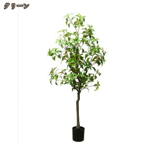 tFCNO[ CeAO[ n lH ϗtA ^ tFCNA Vzj JXj VN NX}X ItBX X ze  b炸 sv  ϗA j