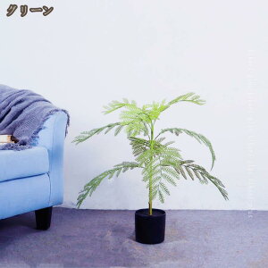 WJ_̖ tFCN ^ 傫 tFCNO[ lHϗtA  ϗA CeA  O tFCNA lH ϗtA sv ͂Ȃ ~͐A v[gp 