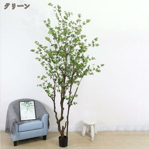 lHϗtA tFCNO[ ϗt  sv ͂Ȃ n AZr A z[fR[V tFCNc[ ^  O  rO[  ItBX̑ l