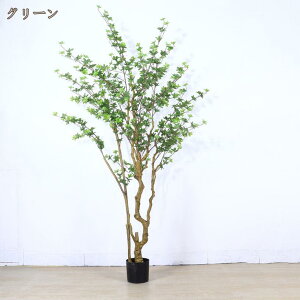 lHϗtA tFCNO[ ϗt  sv ͂Ȃ hE_ccW A z[fR[V tFCNc[ ^  O  rO[  ItBX̑ l