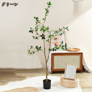 tFCNO[ lHϗtA  rO ItBX CeAO[  ϗt sv R ւ̖ ȒP sv Q쏜sv   J^ Mtg A A