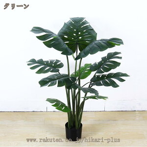 tFCNO[ lHϗtA  rO ItBX CeAO[  ϗt sv Xe ȒP sv Q쏜sv   J^ Mtg A A 