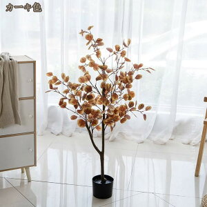 tFCNO[ [J ϗtA c[ ^ lHϗtA lH  ^ A A CeA a 킢  O tFCNA sv ͂Ȃ ~͐A Vzj