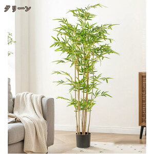 | ou[ tFCNO[ lHϗtA ϗt  bȂ sv { A  z[  ItBX CeA  Vv A er  