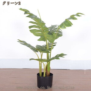 Xe tFCNO[ ϗtA ^ p  A  ȒPb ItBX Q ze r[  rO sv ͂Ȃ ~͐A lH tFCNA lHϗt