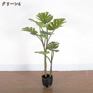 Xe tFCNO[ ϗtA ^ p  A  ȒPb ItBX Q ze r[  rO sv ͂Ȃ ~͐A lH tFCNA lHϗt