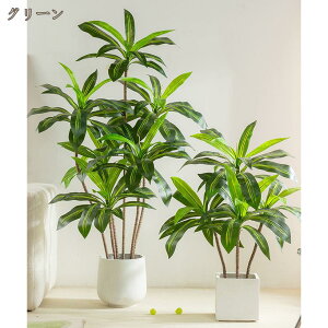 hZi lHϗtA sv CeAO[ ~͐A      tFCNO[ t t S  lHϗt Aؔ rO  Q Mtg v