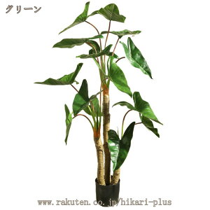 ϗtA A tFCNO[ CeA  j Mtg v[g  ϗA NYC lHϗtA ^ b炸 sv ͂Ȃ z[ ItBX JtF