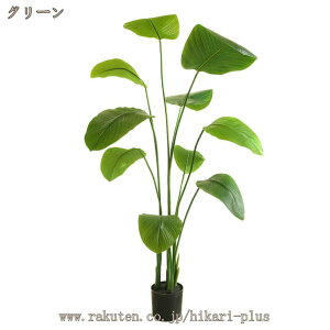 ϗtA ^ CeA Xg`A Ɋy tFCNA K̖ tFCNO[ QȂ sv   ^ 傳  ϗt ϗA ʏ  g