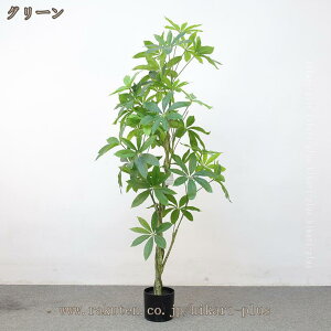  tFCNO[   AȊϗtA pL ^ ϗt 傫 傫 lH lHϗtA A  A[gO[  CeAO[  oRj[ 