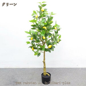  tFCNO[   AȊϗtA ̖ ^ ϗt 傫 傫 lH lHϗtA A  A[gO[  CeAO[  oR