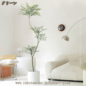 lHϗtA | ou[ tFCNO[  a V  蕨 v[g lHA tFCN A[gO[ R hL   ^ 傫 K̖ A  lH ͂Ȃ 