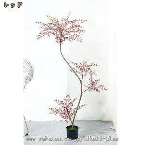 lHϗtA | ou[ tFCNO[  a V  蕨 v[g lHA tFCN A[gO[ R hL   ^ 傫 K̖ A  lH ͂Ȃ 