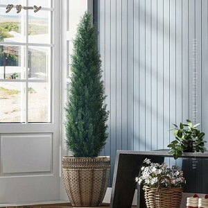 tFCNO[ ϗtA tFCNA ^ p  Vv ItBX  CeA A A NX}Xc[   K̖ lH j ̓ ̓ lH 