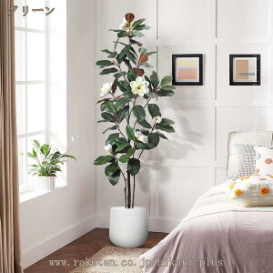 tFCNO[ ϗtA tFCNA ^ p  Vv ItBX  CeA A A ʗ̉   K̖ lH j ̓ ̓ lH ϗt 