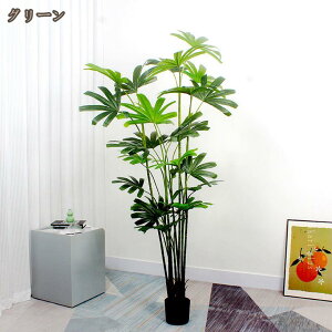 sv ϗtA QȂ A ^ CeAO[ tFCNO[ 傳  K̖ ͂Ȃ  lHϗt lHA V̖ p[ ItBX r