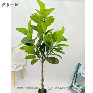 tFCNO[ ^ tFCN A 傫 S̖ A  lH ϗtA j a    lHA lHϗt CeA ItBX rO   O tFC