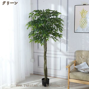 tFCNO[ ^ tFCN A 傫 KW} A  lH ϗtA j a    lHA lHϗt CeA ItBX rO   O tF