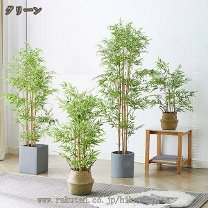 tFCNO[ lH ϗtA | ou[ A K̖  lH  J^  v[gp  ͂ȂO[ ȒP sv Q쏜sv k  _ M